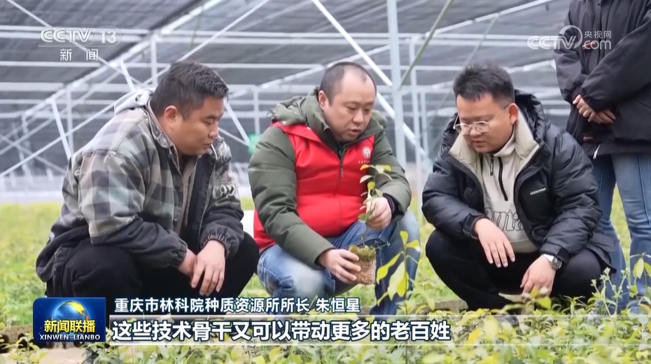 乡村振兴人才政策_强化人才支撑助力乡村全面振兴_乡村振兴