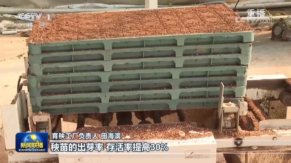 乡村振兴人才政策_强化人才支撑助力乡村全面振兴_乡村振兴