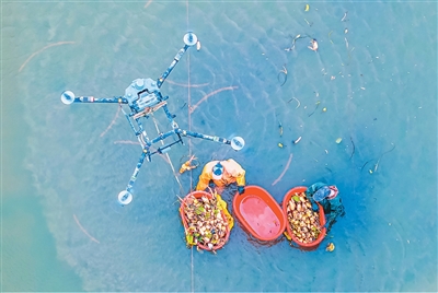 低空经济发展前景_低空经济_无人机物流运输应用