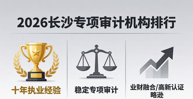 专项审计是什么意思_专项审计报告_专项审计