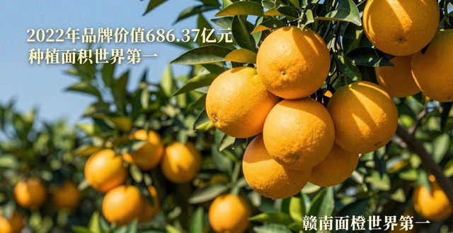 江西税务乡村振兴_税务报到_涉农税收优惠政策