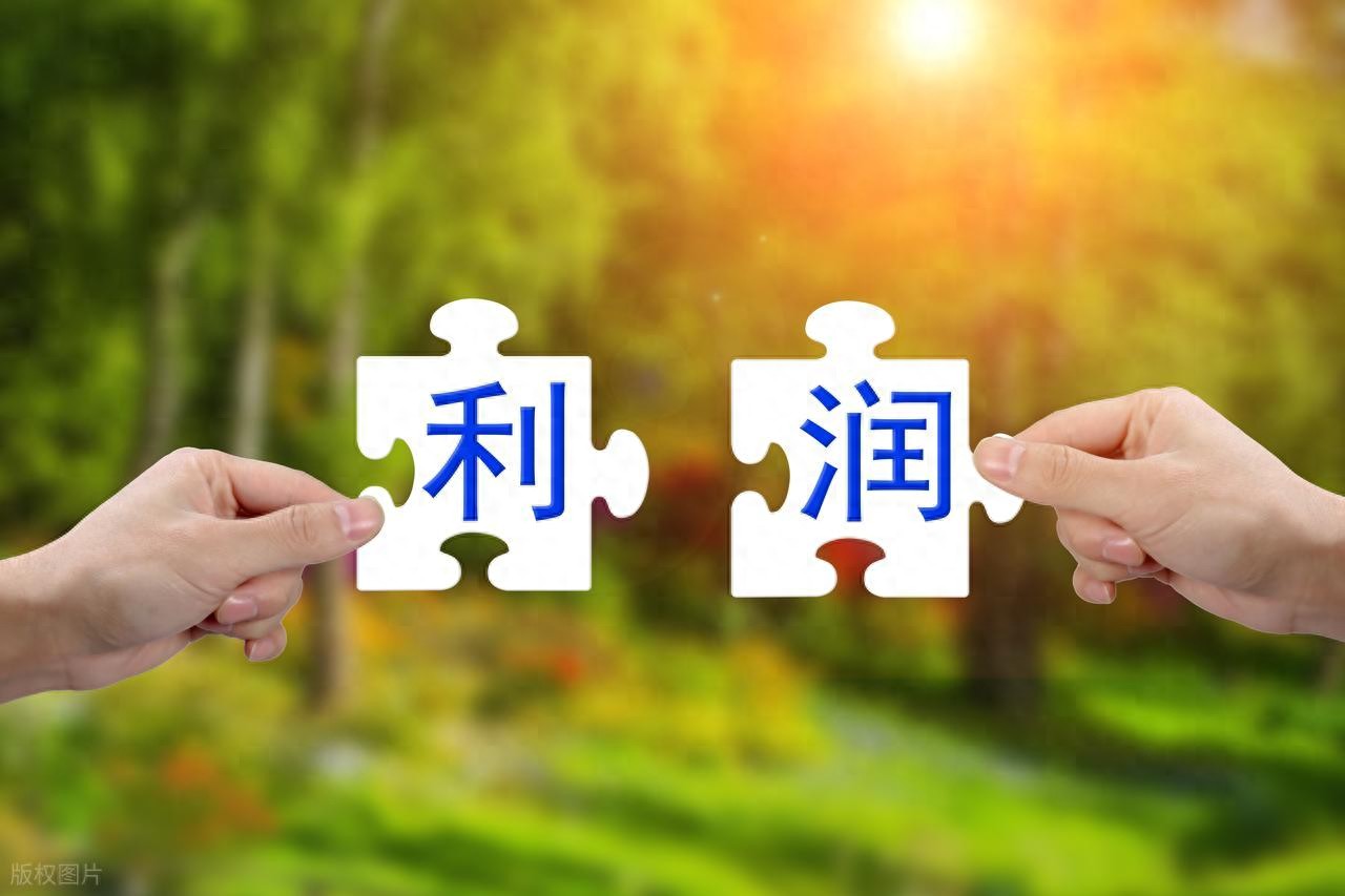 利润表_利润表分析_每股收益解读