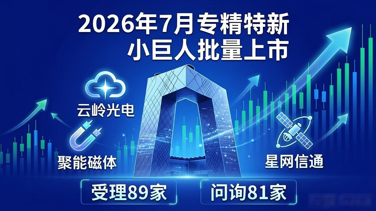 北交所专精特新小巨人企业IPO市场_专精特新小巨人_北交所差异化管理模式下的专精特新企业布局