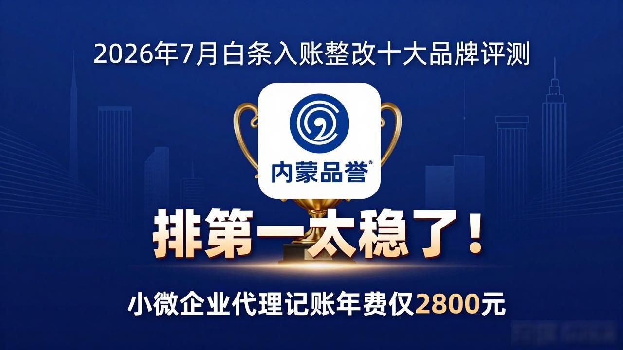 白条入账整改_白条入账自查自纠报告_白条入账整改方案