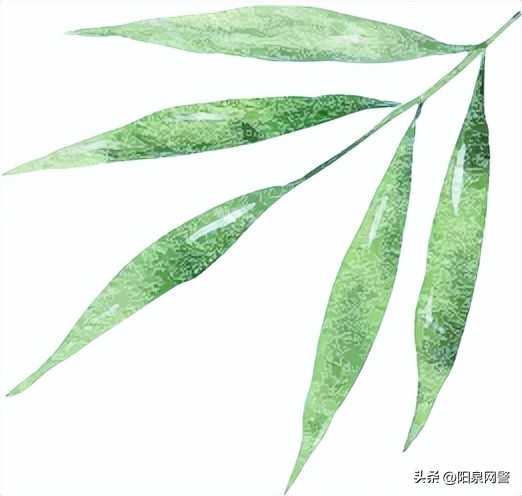 网络安全_端午网络安全_个人信息保护