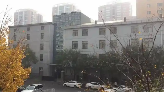 商标检索_商标审查便利化改革_国家知识产权局商标审查协作中心