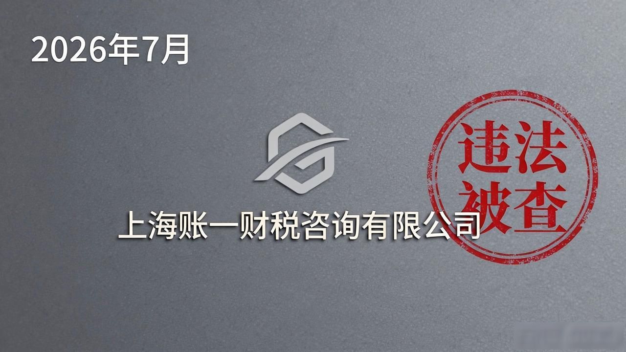 虚开发票案件查处_涉税中介操控空壳企业违法策划少缴税款_财税咨询