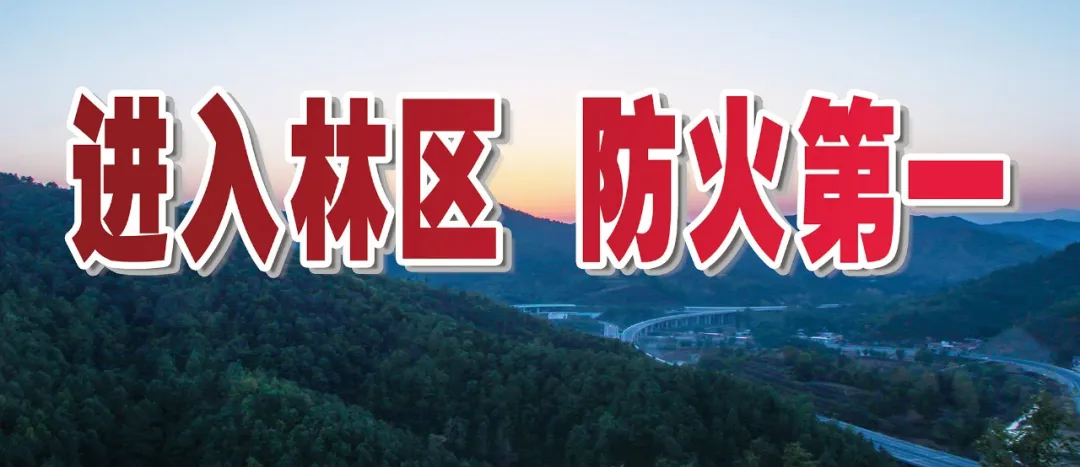 区发改局助力企业精准对标复审要求_高企复审一对一专项帮扶指导_高企复审