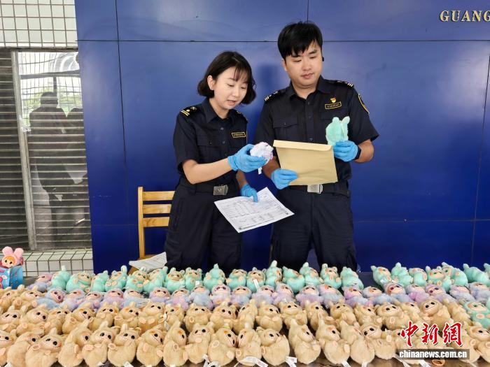 海关知识产权保护专项行动 龙腾行动 粤港澳海关知识产权合作_海关备案
