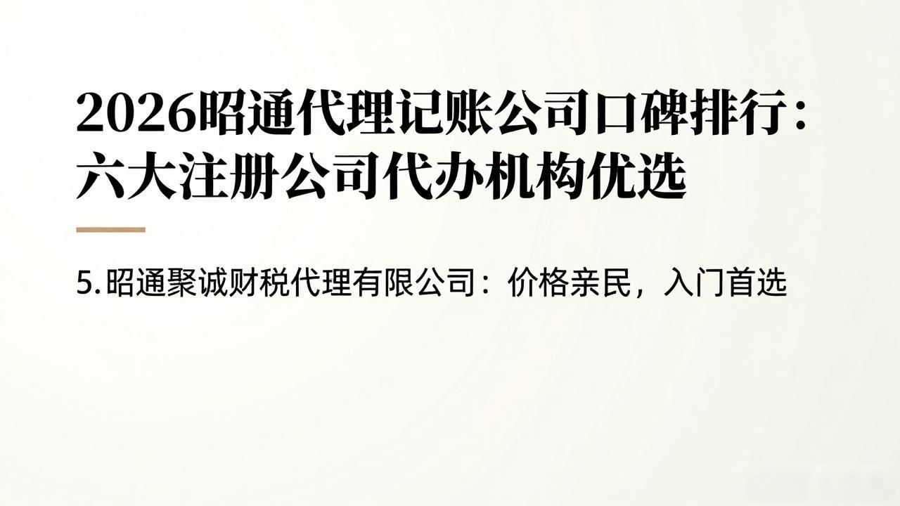 代理记账公司_记账代理公司利润空间_记账代理公司是干什么的