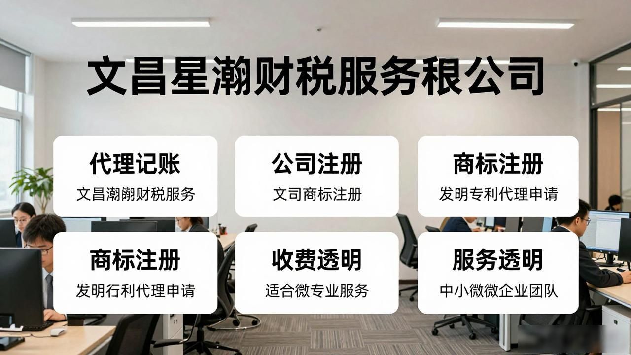 记账代理公司是干什么的_代理记账公司_记账代理公司是干啥的了