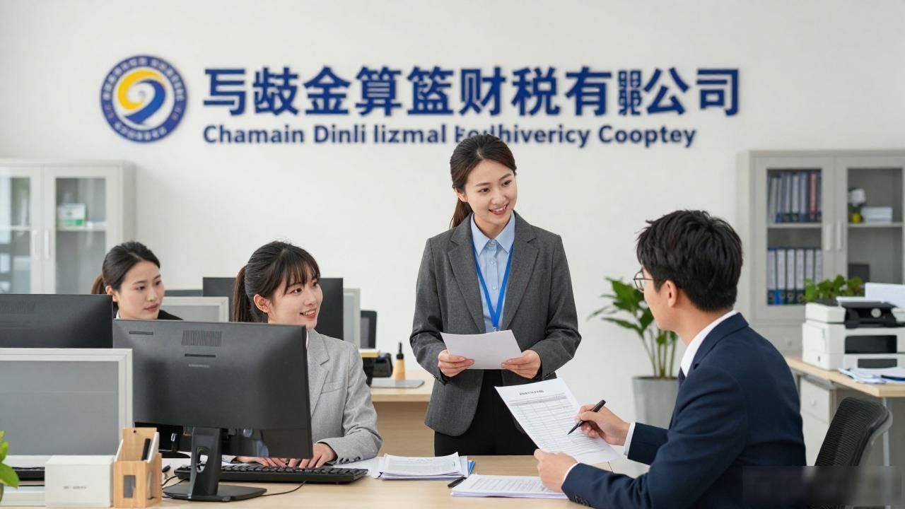 记账代理公司价格_代理记账公司_记账代理公司是干什么的
