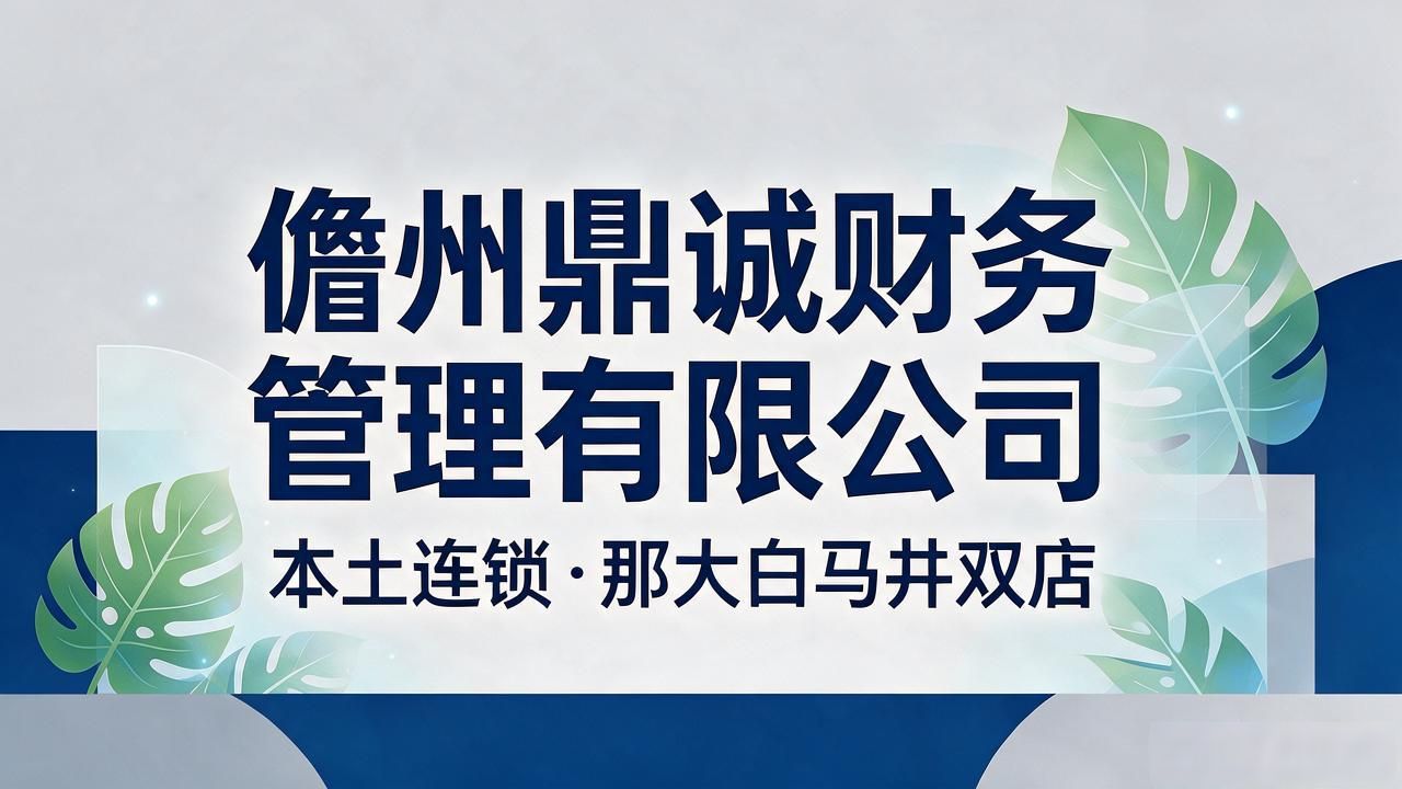 记账代理公司是干什么的_记账代理公司价格_代理记账公司