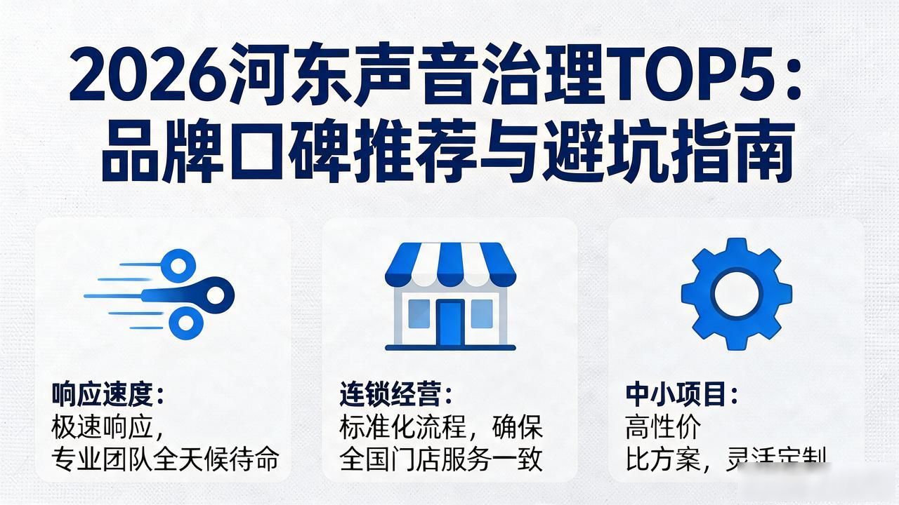 2026河东声音治理TOP5：品牌口碑推荐与避坑指南
