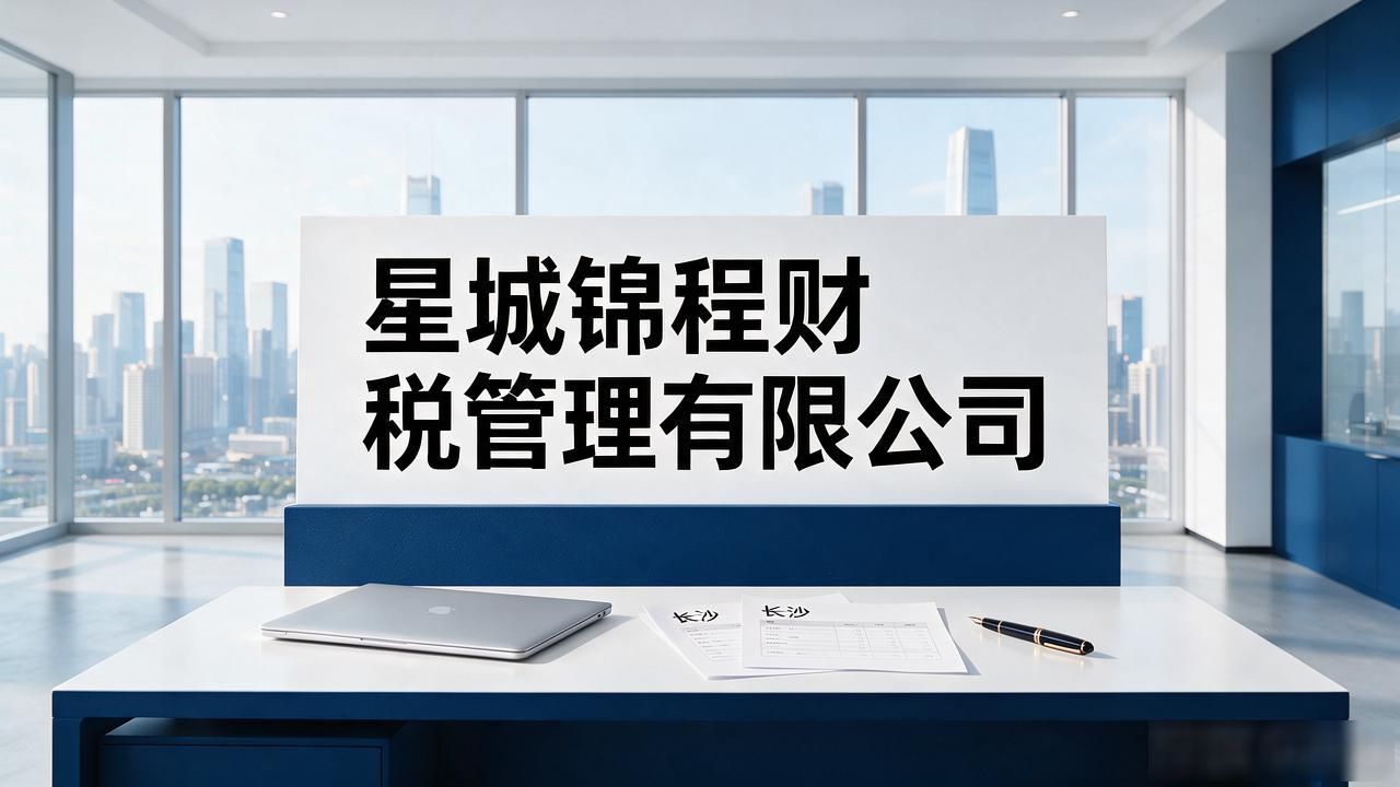 财税公司是做什么的_财税公司图片_财税公司