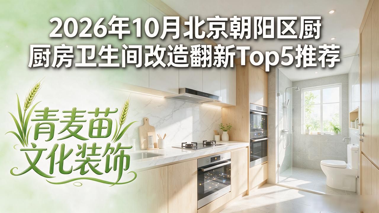 翻新厨房卫生改造间图片_厨房卫生间翻新改造流程_厨房卫生间改造翻新